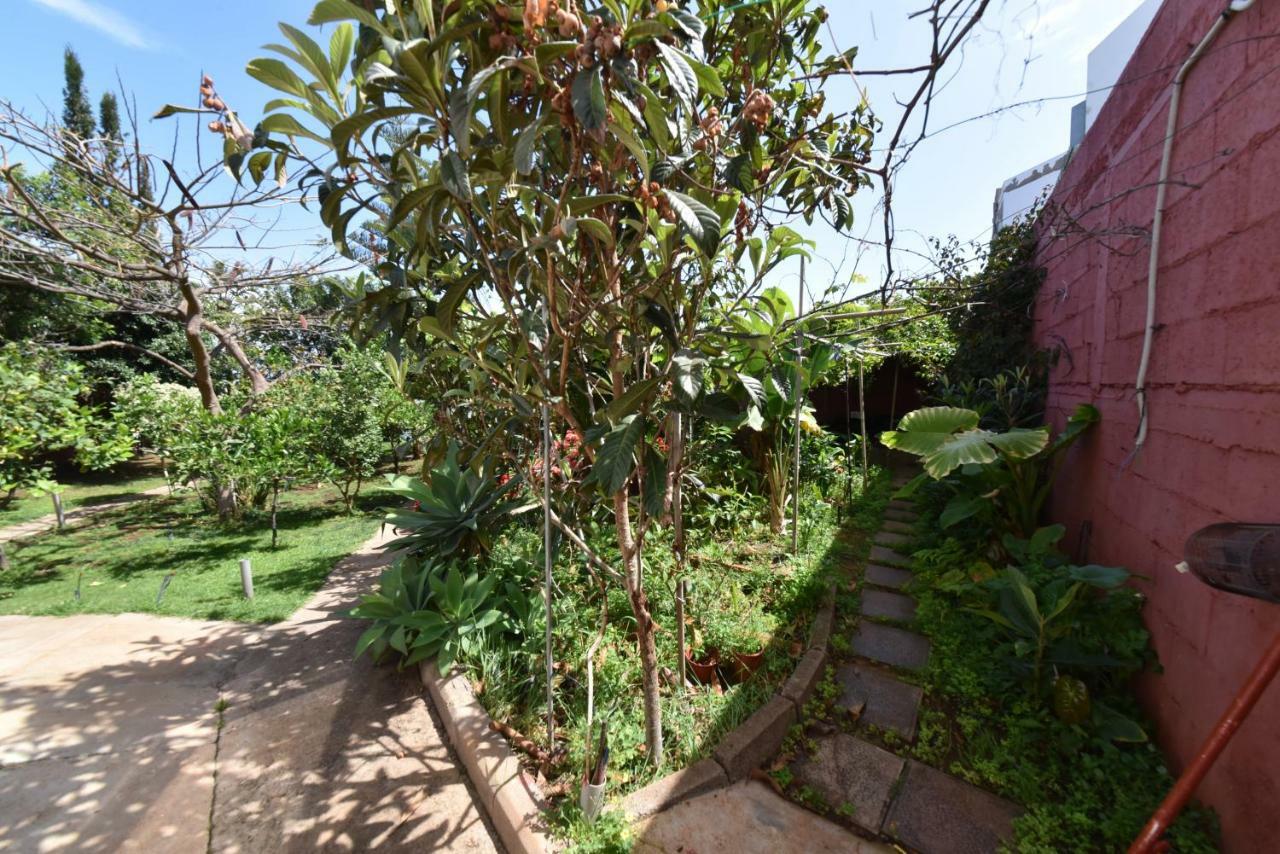 Casa El Tonelero Con Jardin Y Piscina Privada Villa Galdar Exterior photo